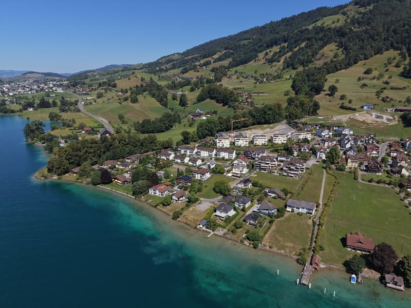 Traumhafte See- und Bergsicht am Fusse der Rigi (23)