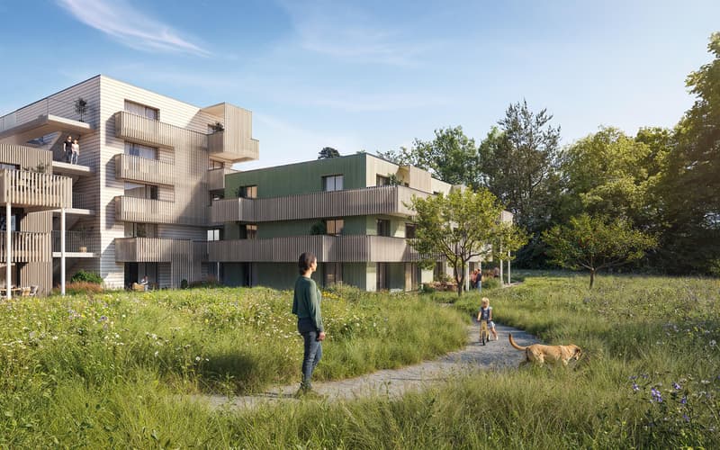 Zuhause in der Stadt - daheim in der Natur: Waldstadt im Pantli (3)