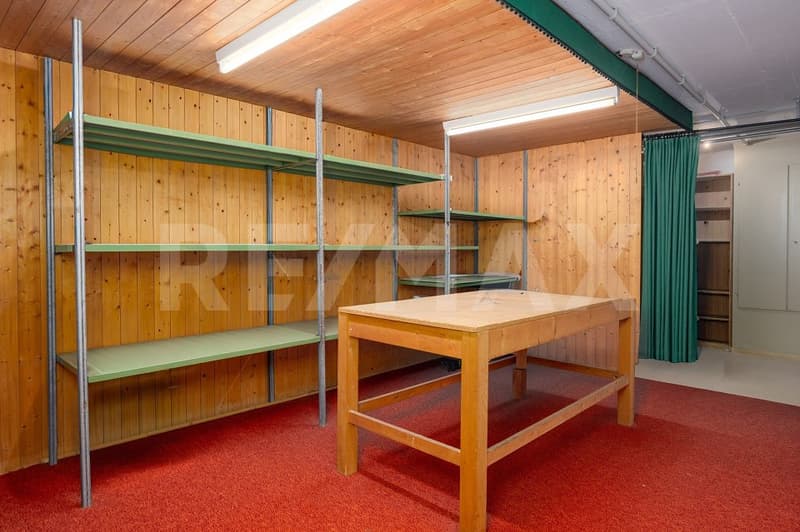 Freistehendes 6.5-Zimmer Einfamilienhaus mit grossem Garten und viel Licht (10)