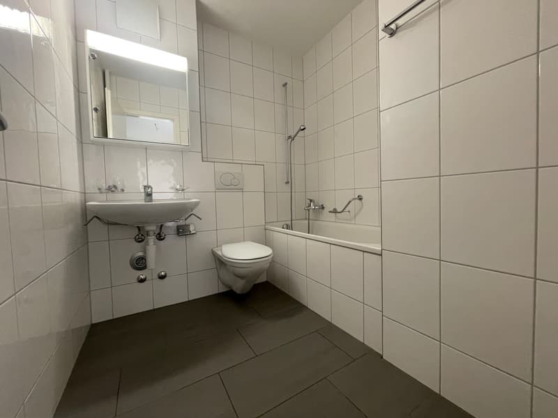 Morderne 1-Zimmerwohnung Nähe Dreirosenbrücke (4)