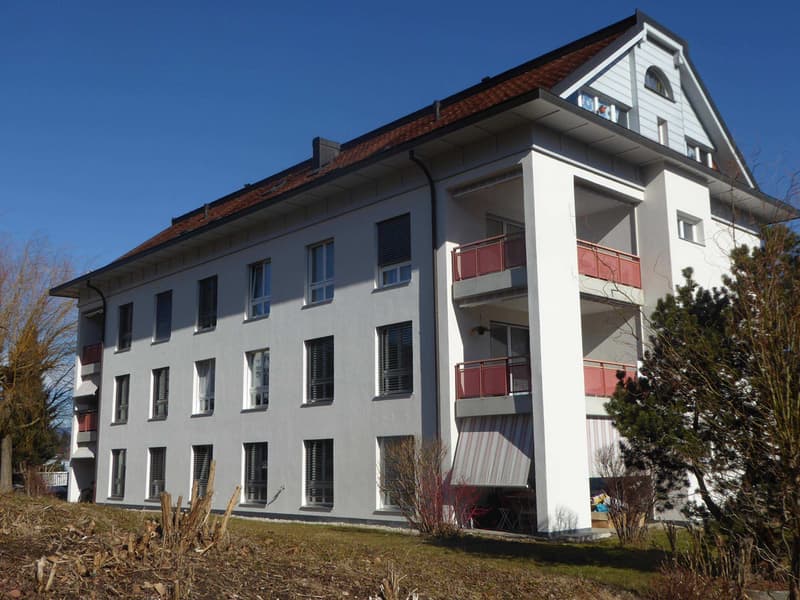 5ad13dfd-54fb-4d93-ab05-ef0d18654d63.jpg