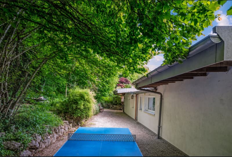 Maison écologique de 7 pièces avec piscine et grand jardin à Lausanne (7)