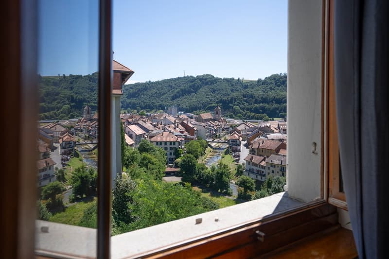 Maison de maître d’exception, entièrement rénovée (8)