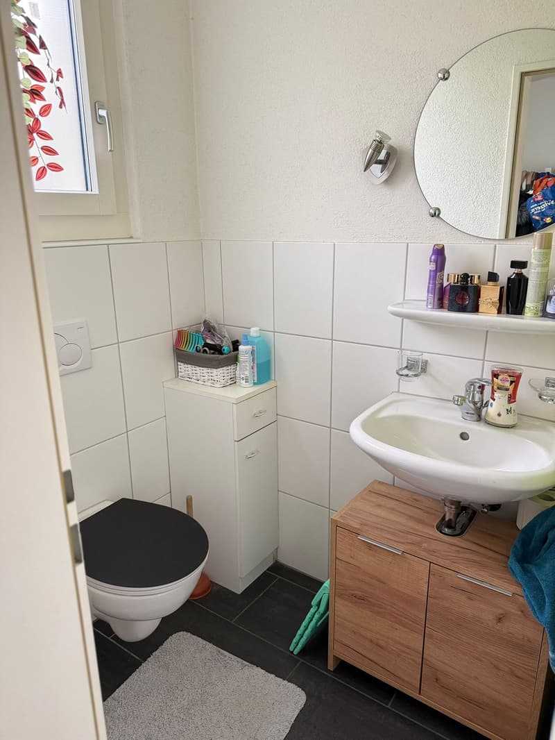 Modernes Doppeleinfamilienhaus in ruhiger Lage von Sins (6)