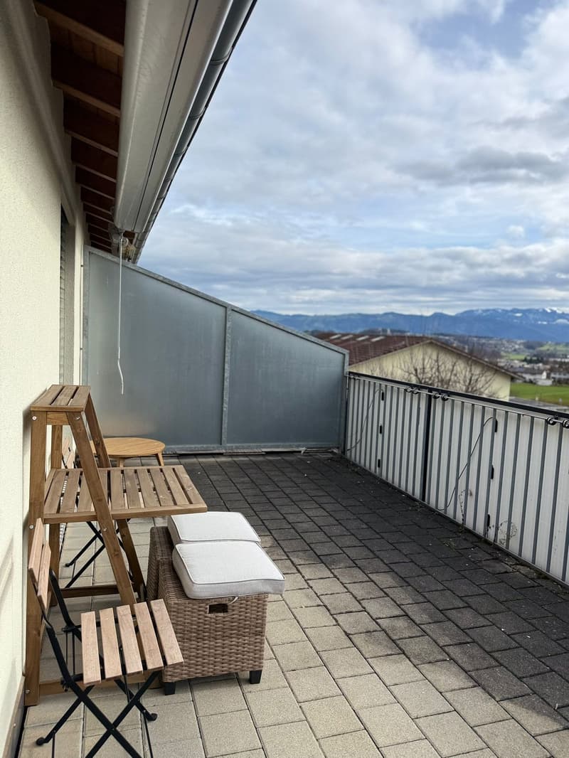 Modernes Doppeleinfamilienhaus in ruhiger Lage von Sins (3)