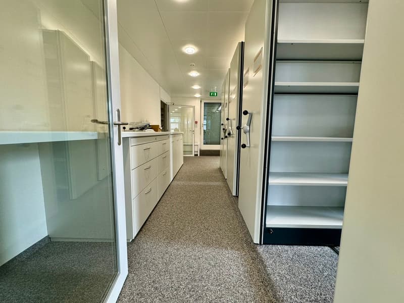 modern interior with white cabinets, carpeted flooring, glass walls, open corridor with a door