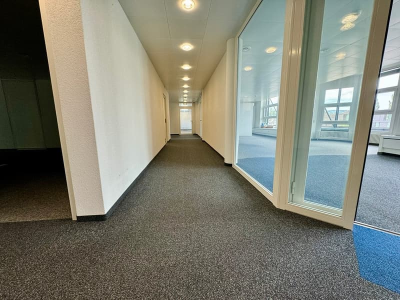 The image shows a long, well-lit hallway with white walls and a carpeted floor. The hallway has recessed lighting in the ceiling and large windows along one side, providing natural light. The floor is covered in a gray, speckled carpet, and the hallway ap