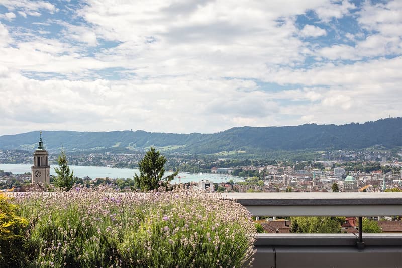 Helle Alterswohnung mit Aussicht in Zürich (5)