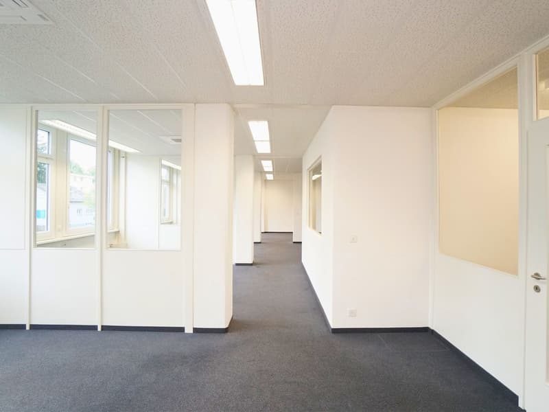Klimatisierte Bürofläche bezugsbereit (5)