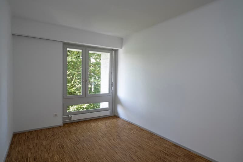 empty room, white walls, wooden floor, large window, view of trees