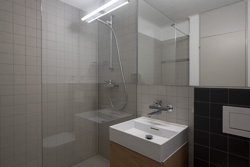 tolle 1.5-Zimmer-Wohnung in Zürich Höngg (3)