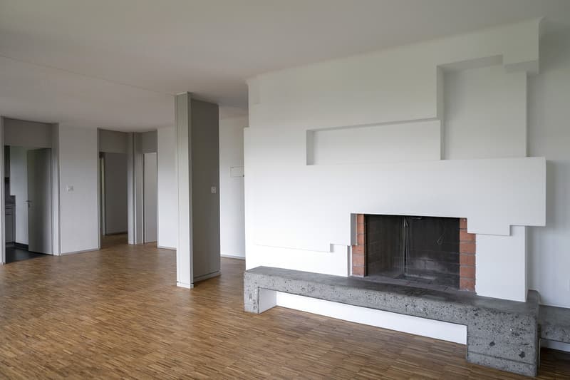 lichtdurchflutete Traumwohnung mit über 200m² Dachterrasse in Zürich-Höngg (2)
