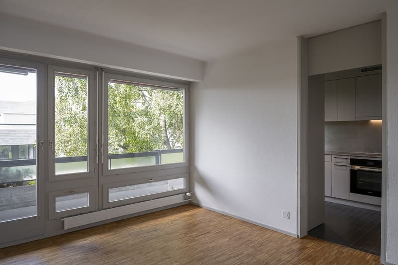 lichtdurchflutete Traumwohnung mit über 200m² Dachterrasse in Zürich-Höngg (3)