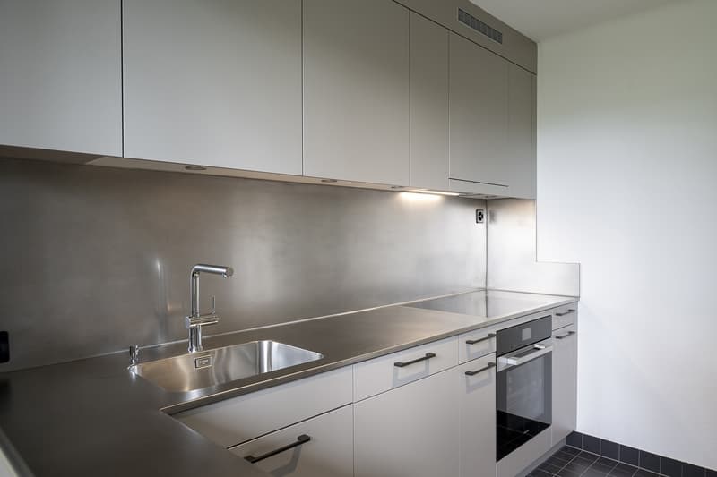 lichtdurchflutete Traumwohnung mit über 200m² Dachterrasse in Zürich-Höngg (4)