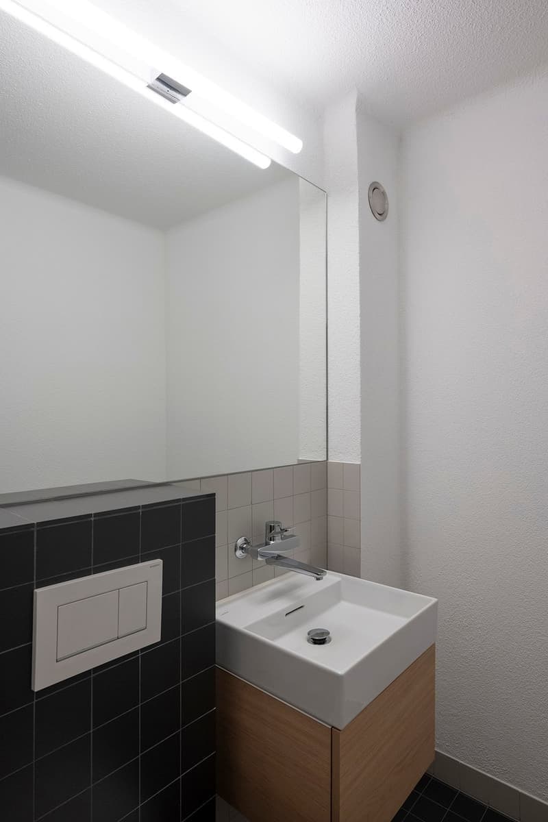 lichtdurchflutete Wohnung mit spannendem Layout (8)