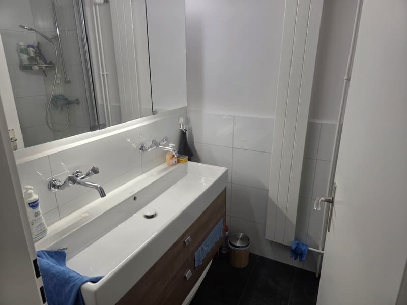 Charmante 4-Zimmer-Wohnung an ruhiger Lage in Adliswil (6)