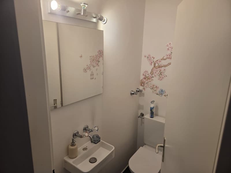 Charmante 4-Zimmer-Wohnung an ruhiger Lage in Adliswil (8)