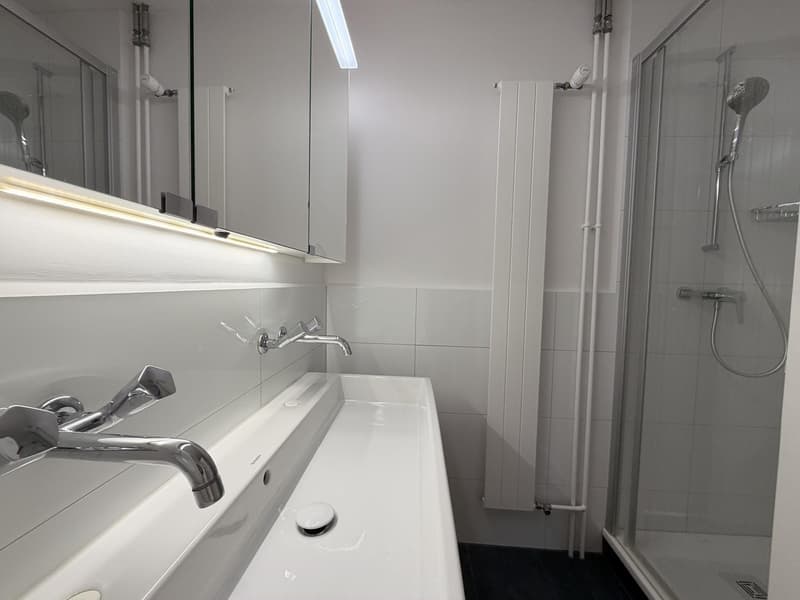 Charmante 4-Zimmer-Wohnung an ruhiger Lage in Adliswil (9)