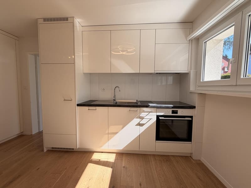 Charmante 4-Zimmer-Wohnung an ruhiger Lage in Adliswil (3)