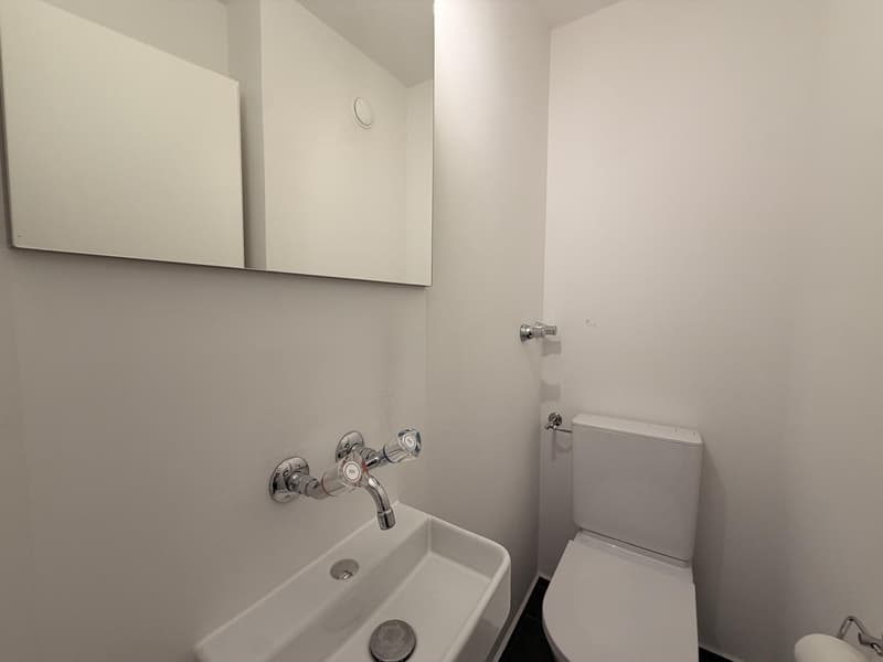 Charmante 4-Zimmer-Wohnung an ruhiger Lage in Adliswil (10)