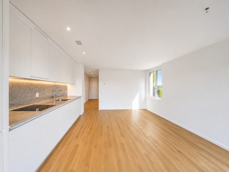 ERSTBEZUG wunderbare 3.5-Zimmer-Neubauwohnung mit Eigentumsstandard und Uetlibergblick (2)