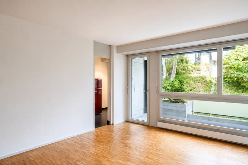 grosszügige 1.5-Zimmer-Wohnung in Höngg (2)