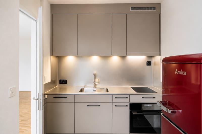 grosszügige 1.5-Zimmer-Wohnung in Höngg (1)