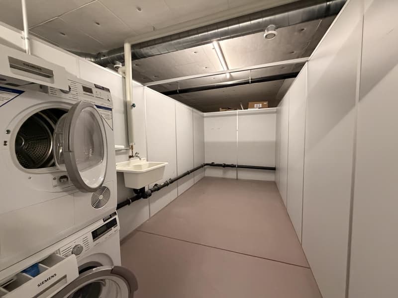 3 ½ Zimmer-Wohnung, 8400 WINTERTHUR (11)
