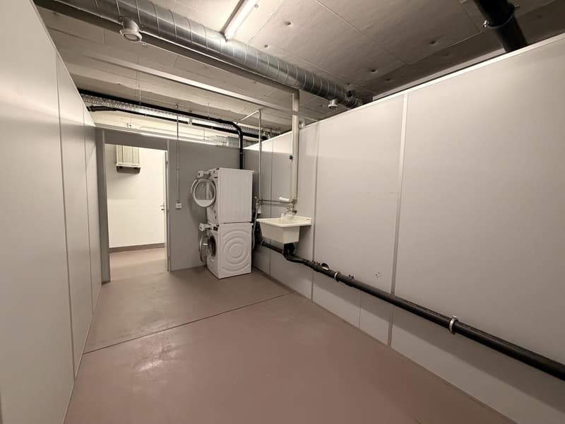 3 ½ Zimmer-Wohnung, 8400 WINTERTHUR (12)