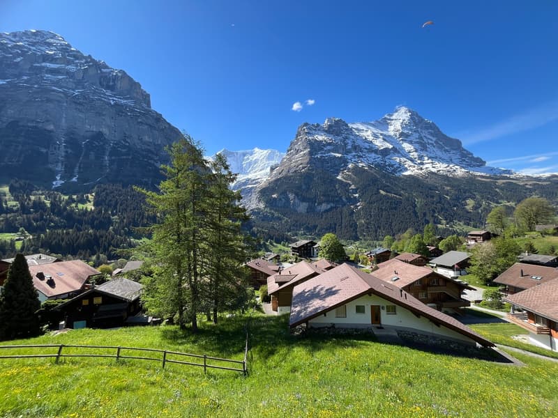 Charmante 2.5-Zimmer-Wohnung mit atemberaubendem Bergblick in Grindelwald (8)