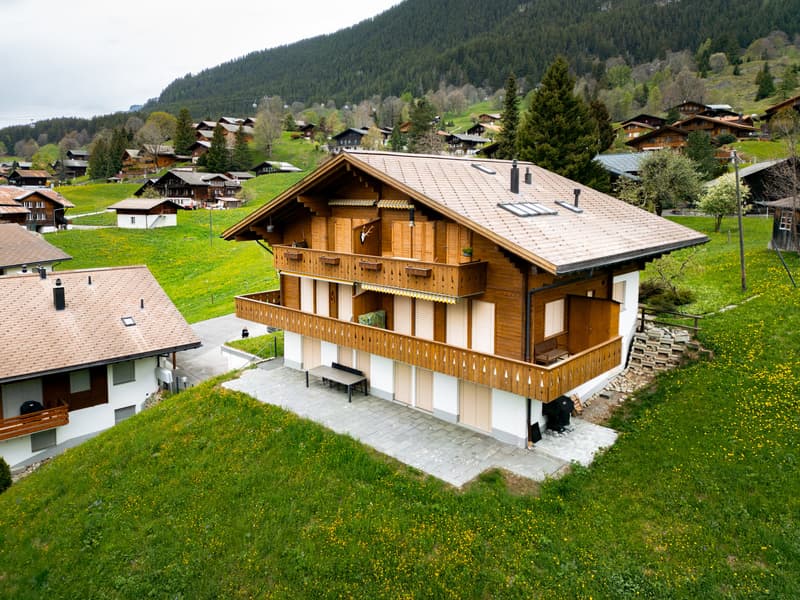 Charmante 2.5-Zimmer-Wohnung mit atemberaubendem Bergblick in Grindelwald (12)
