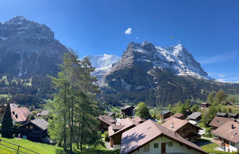 Charmante 2.5-Zimmer-Wohnung mit atemberaubendem Bergblick in Grindelwald (9)