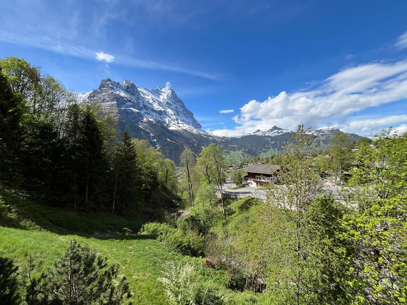 Charmante 4-Zimmer-Maisonette-Wohnung mit atemberaubendem Ausblick in Grindelwald (10)