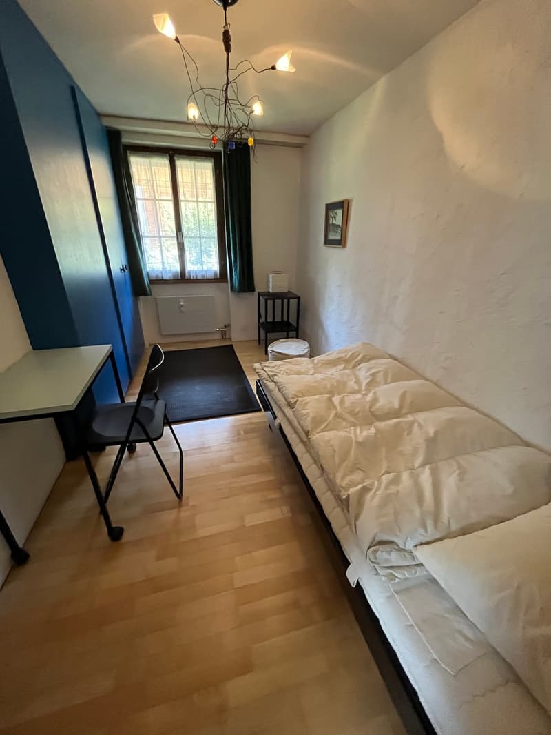 Charmante 4-Zimmer-Maisonette-Wohnung mit atemberaubendem Ausblick in Grindelwald (7)