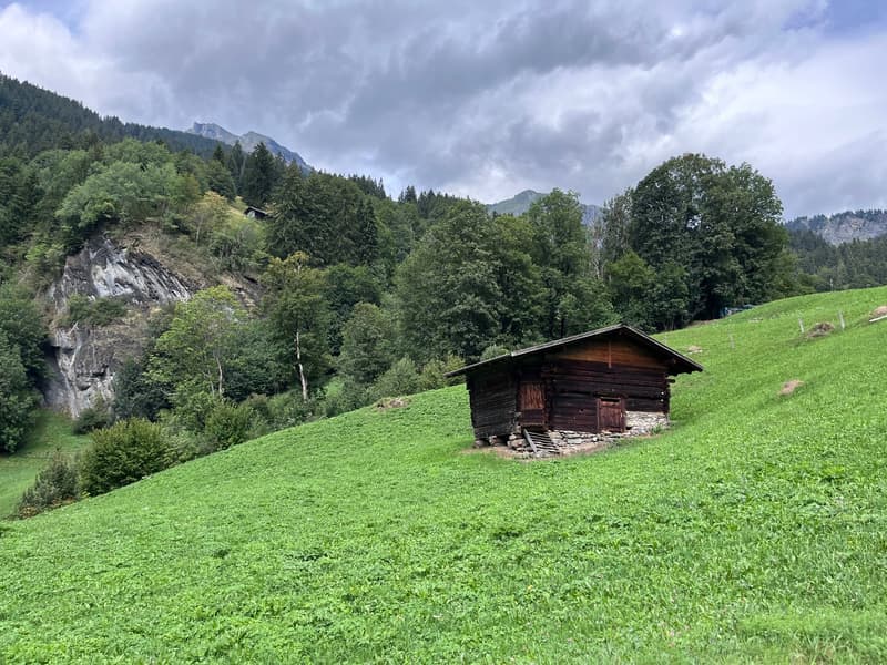 Idyllisch gelegenes Zweifamilienhaus in Grindelwald (16)