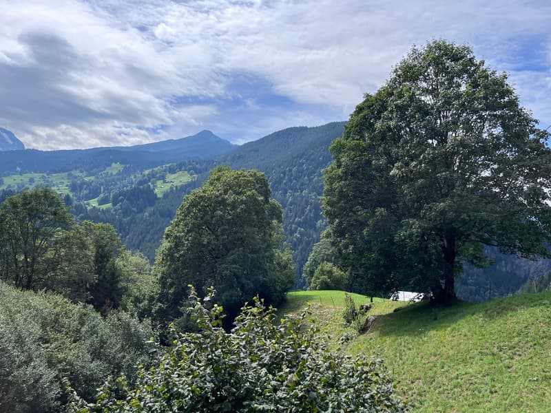 Idyllisch gelegenes Zweifamilienhaus in Grindelwald (12)