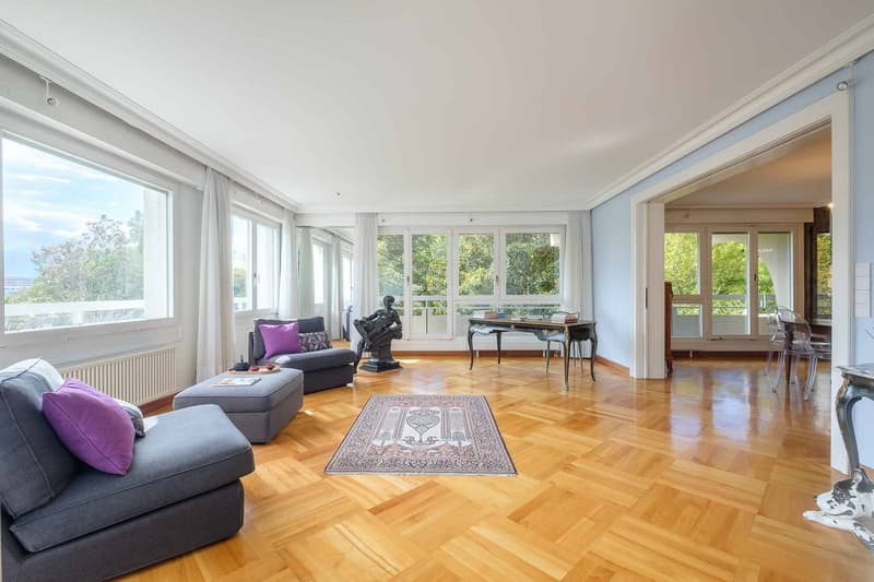 Magnifique appartement de 8 pièces dans une résidence de standing (5)