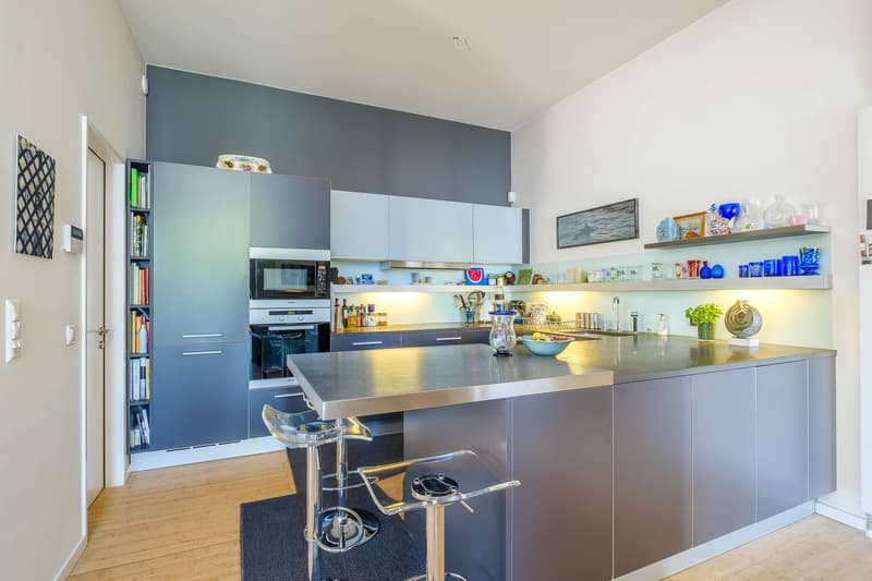 Magnifique loft avec terrasses et jardin (5)