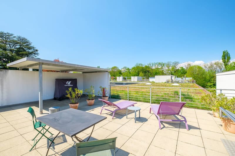 Magnifique loft avec terrasses et jardin (10)