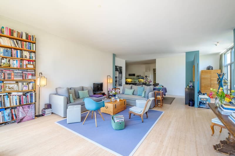 Magnifique loft avec terrasses et jardin (3)