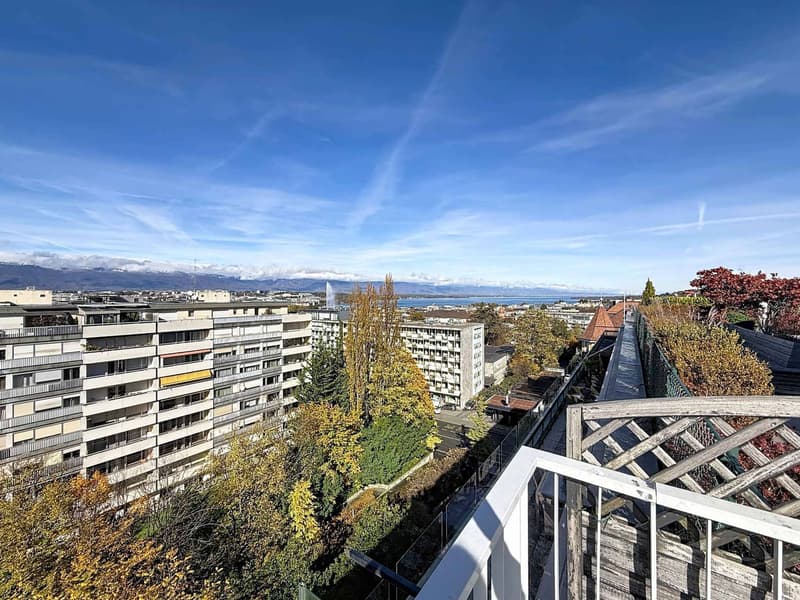 Bel appartement rénové au calme, proche du Parc Bertrand (9)