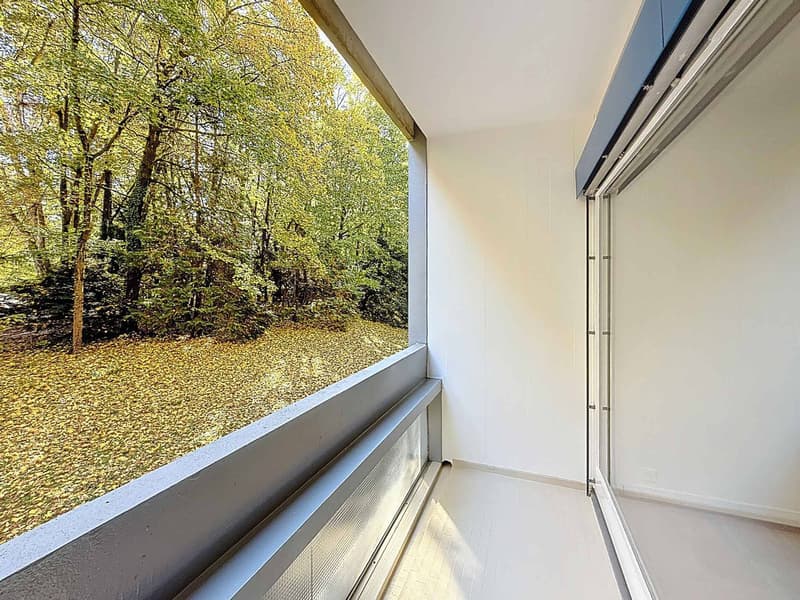 Bel appartement rénové au calme, proche du Parc Bertrand (8)