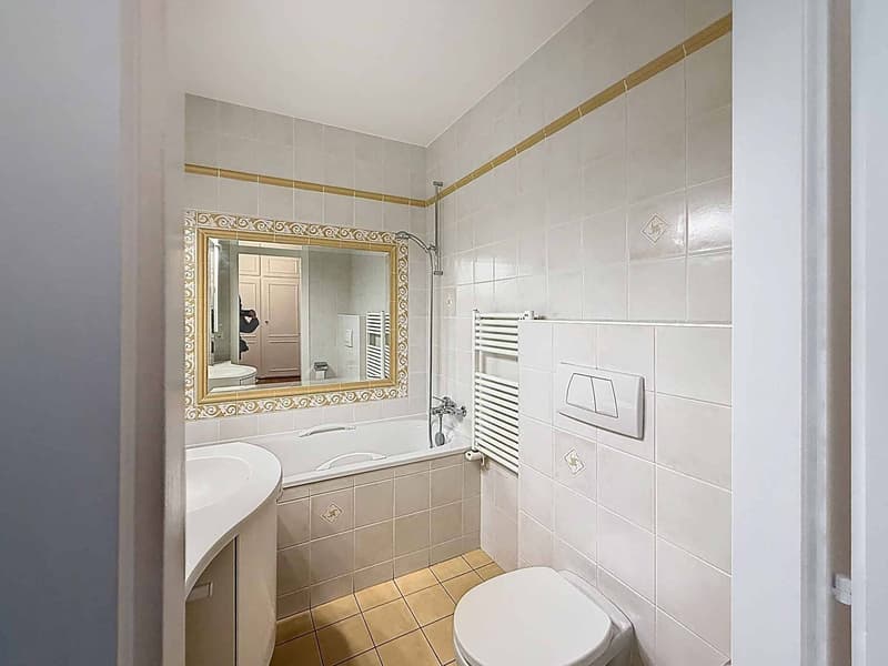 Bel appartement rénové au calme, proche du Parc Bertrand (6)