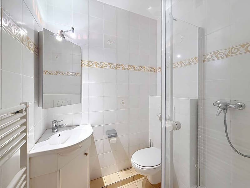 Bel appartement rénové au calme, proche du Parc Bertrand (7)