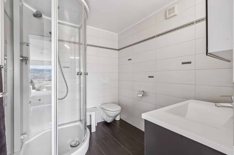 Charme et Sérénité : Villa individuelle avec piscine face aux vignobles (7)