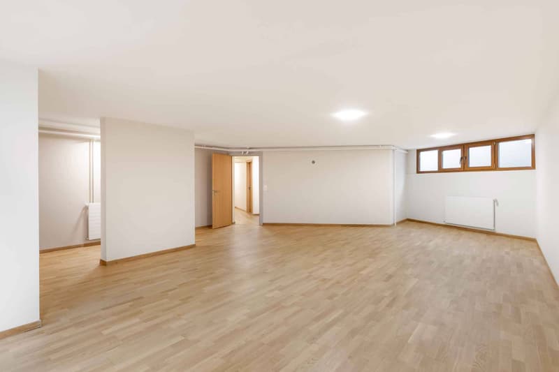 Belle villa entièrement rénovée avec piscine (11)
