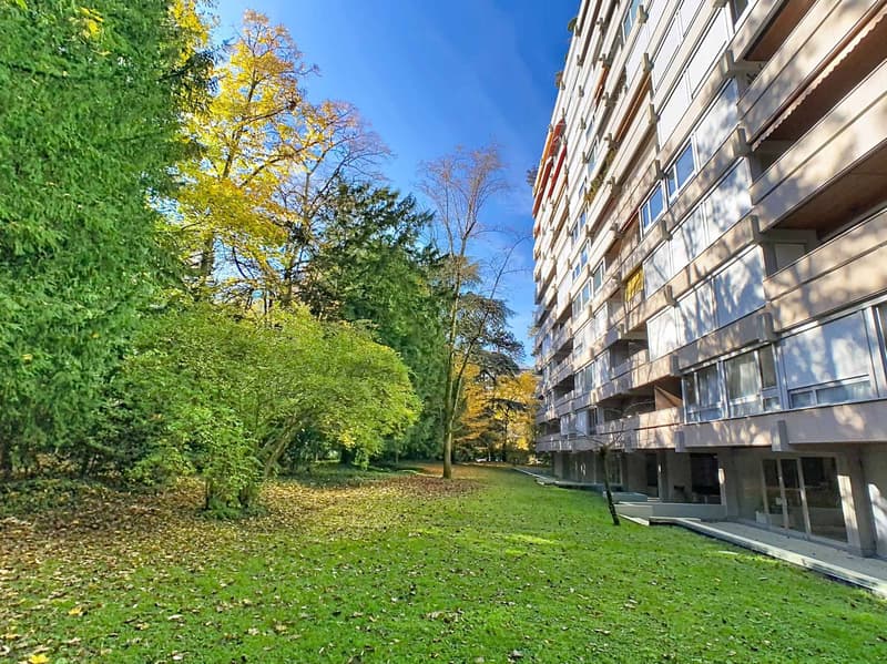 Grand appartement de 3 pièces dans un immeuble de standing (8)