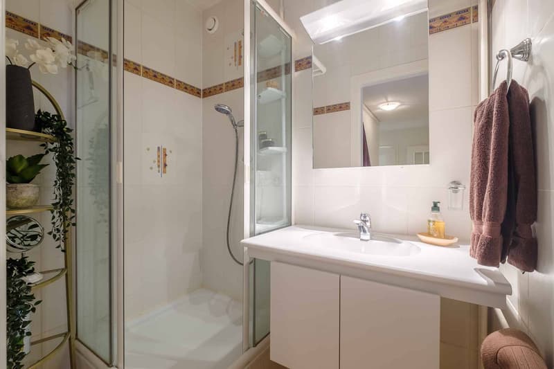 Bel appartement traversant de 6 pièces (11)