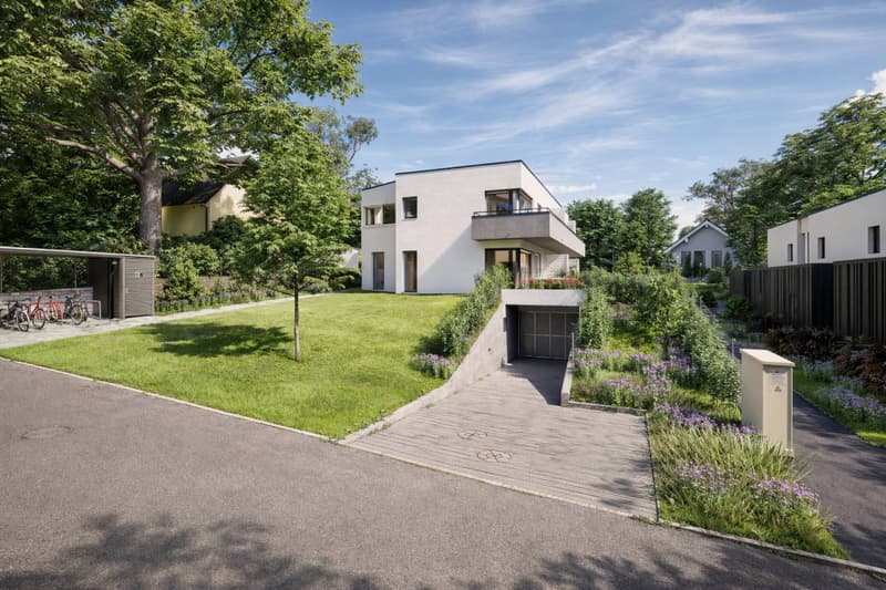 Villa HPE neuve avec jardin privé - Lot B (4)