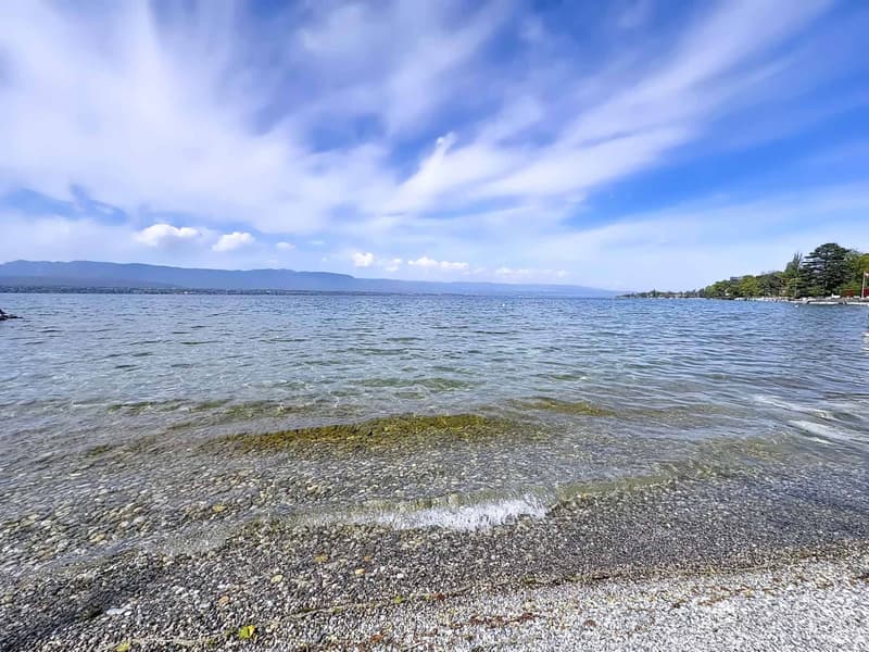 Villa d'architecte avec belle vue et accès privatif au lac (3)